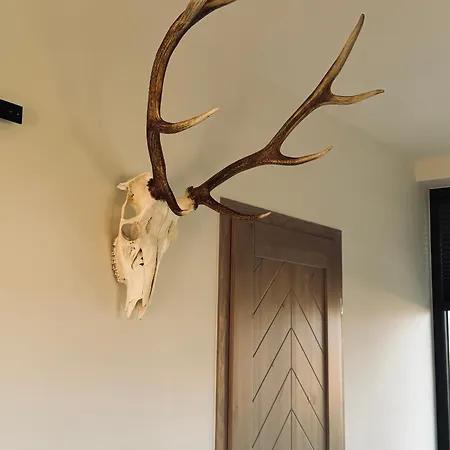 Osada Kaniowka - Pod Stokiem Z Sauna Villa Białka